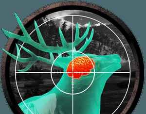 Wild Hunt 3D v1.506 Sport Hunting Games Apk İndir – Full Mermi Hileli Mod