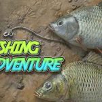 Fishing Adventure İndir – Full Türkçe