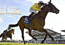 Rival Stars Horse Racing Desktop Edition İndir – Full Türkçe