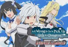 Is It Wrong to Try to Pick Up Girls in a Dungeon? Infinite Combate İndir