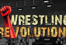 Wrestling Revolution 2D İndir – Full PC