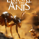 Empire of the Ants İndir – Full PC + 1 DLC Türkçe