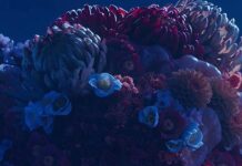 SILENT HILL f İndir – Full PC – Türkçe