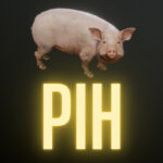 PİH İndir – Full PC