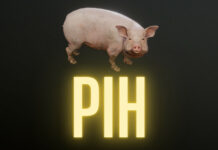 PİH İndir – Full PC
