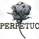 Perpetuo İndir – Full PC + Türkçe