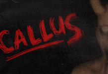 CALLUS İndir – Full PC + DLC