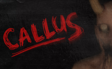 CALLUS İndir – Full PC + DLC
